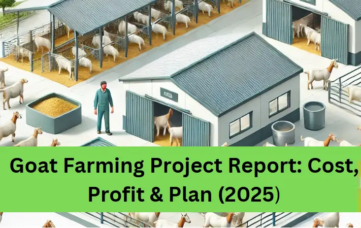 Goat farming business plan & Project report