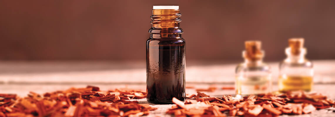 Know The Benefits & Varieties of Sandalwood Farming
