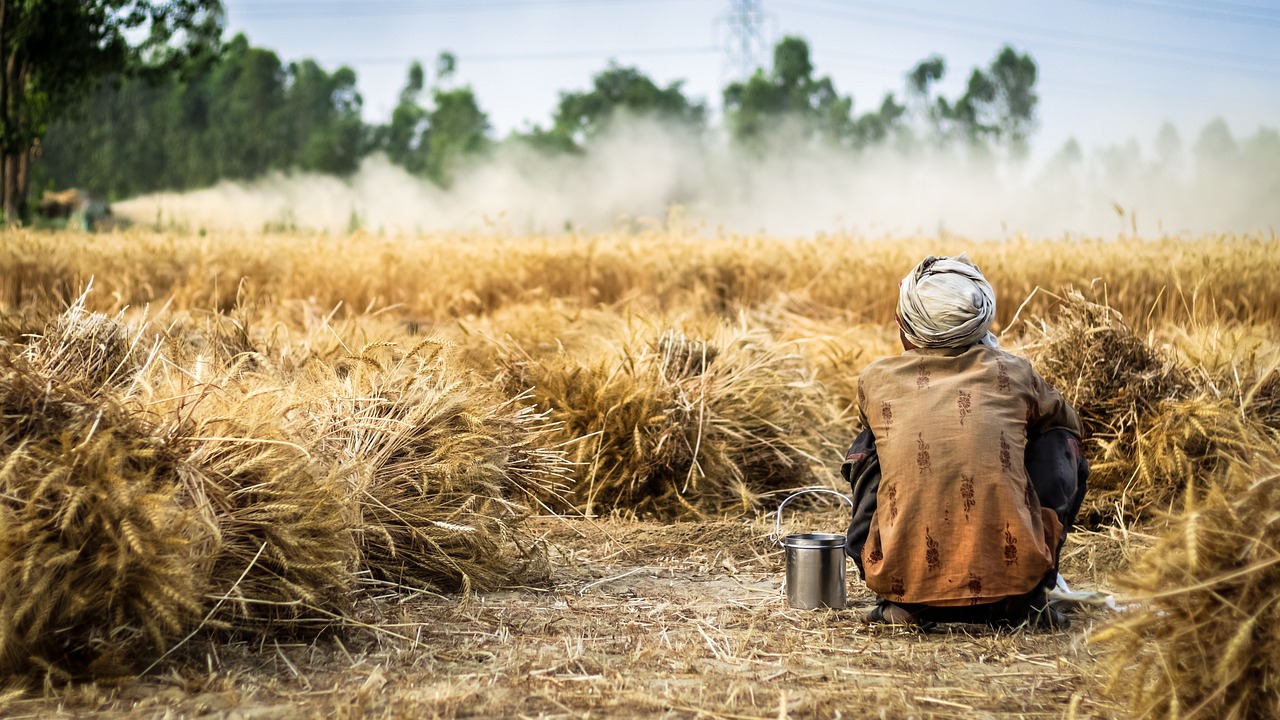 This farmer is earning 9 lakhs from this crop on one acre